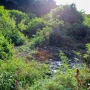 Essimingor Nature Reserves