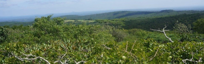Hassama Hills Nature Reserves