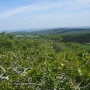 Hassama Hills Nature Reserves