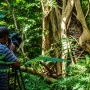 Pindiro Nature Forest Reserves