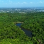 Pugu Kazimzumbwi Nature Reserves