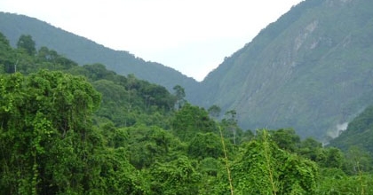 Uzigua Nature Reserves
