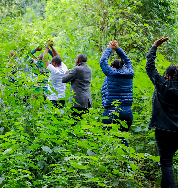 Forest Sustainability